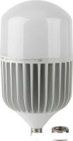 Светодиодная лампочка ЭРА LED Power T160 E27/E40 100 Вт 4000 К