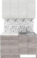 Готовая кухня Агута Альфа 1.2 (дуб пепельный/скандинавское дерево/этория)