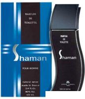 Туалетная вода Arno Sorel Shaman Spirit Man EdT (100 мл)
