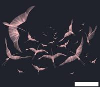 Виниловые обои Citydecor Perfect Lines 13 300x270