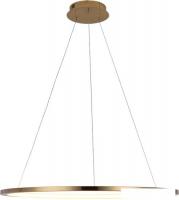 Подвесная люстра LOFT IT Ring 10014L