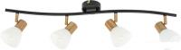 Спот Arte Lamp Falena A3117PL-4BK