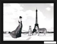 Картина Декарт 8Л3442