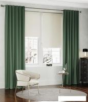 Штора Legrand Канвас 1.5x2.6 м (шалфей)