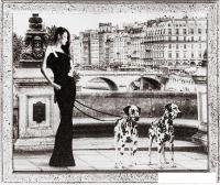 Картина Декарт 8Л3368