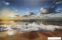 Картина Декарт 8Л3191