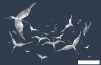 Виниловые обои Citydecor Perfect Lines 8 400x260