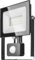Уличный прожектор Онлайт OFL-02-30-4K-BL-IP65-LED-SNRA