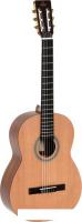 Акустическая гитара Sigma Guitars CM-ST+