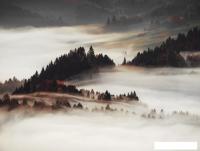 Картина Orlix Туман CA-12952 85x113 см