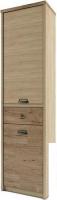 Шкаф-пенал Anrex Diesel 2D1S/D1 Дуб Мадура/Веллингтон