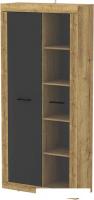 Шкаф-витрина Интерлиния Loft LT-ШВ1 (дуб золотой/антрацит)