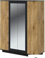 Шкаф распашной Интерлиния Quartz QZ-ШК3 (дуб нокс/черный)