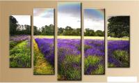 Модульная картина Arthata 5m-334 160x90