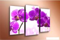 Модульная картина Arthata m-000304 120x80