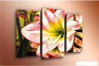 Модульная картина Arthata m-000210 75x50