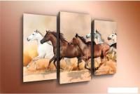 Модульная картина Arthata m-000320 90x60