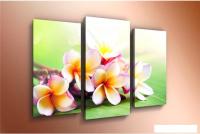 Модульная картина Arthata m-000297 75x50