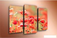 Модульная картина Arthata m-000576 75x50