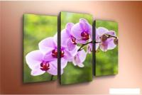 Модульная картина Arthata m-000464 75x50