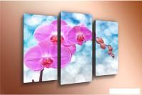 Модульная картина Arthata m-000565 75x50