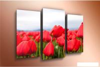 Модульная картина Arthata m-000569 120x80