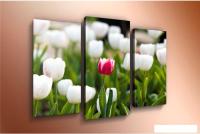 Модульная картина Arthata m-000473 90x60