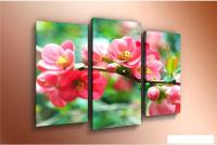 Модульная картина Arthata m-000493 120x80