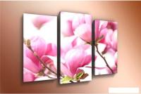 Модульная картина Arthata m-000203 90x60