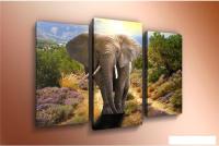 Модульная картина Arthata m-000313 120x80