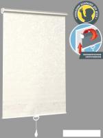 Мини рулонные шторы Delfa Сантайм Венеция Термо-Блэкаут СРШП-05В 79505 48x170 (белый)