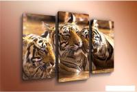 Модульная картина Arthata m-000144 90x60