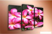 Модульная картина Arthata m-000223 90x60