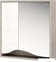 Onika Шкаф с зеркалом Брендон 60.00 206084