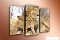 Модульная картина Arthata m-000314 90x60