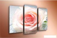 Модульная картина Arthata m-000273 75x50