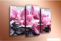 Модульная картина Arthata m-000264 75x50