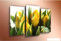 Модульная картина Arthata m-000434 75x50