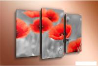 Модульная картина Arthata m-000559 120x80