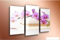 Модульная картина Arthata m-000225 75x50