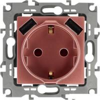 Розетка USB ЭРА 12-4109-14 Б0047848 (медь)