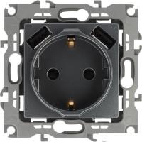 Розетка USB ЭРА 12-4109-12 Б0047846 (графит)
