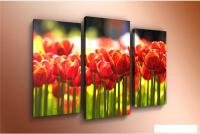 Модульная картина Arthata m-000510 120x80