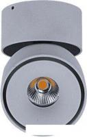 Точечный светильник DesignLed T003112-MZ-12-WH-WW