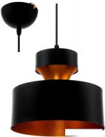 Подвесная люстра Aitin Pro 12266D/1 (черный)