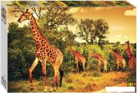 Пазл Step Puzzle Южноафриканские жирафы 85420 (4000 эл)