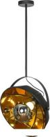 Подвесная люстра Lussole Klamath LSP-0556-C120