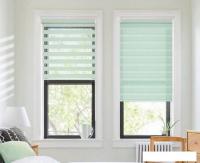 Шторы день-ночь Эскар День-Ночь 80x170 400504080 (мятный)