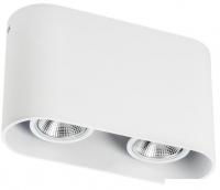 Точечный светильник Lightstar Rullo 2xHP16 214866