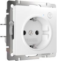 Розетка Werkel W1171601 a056417